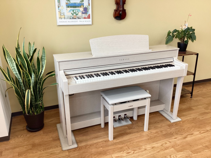 B.B. Music オンラインショップ / 《送料無料エリア拡大！秋の電子  